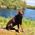 Katie Mokkosian's profile image