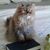 Cecilia Mary Haugen's profile image