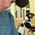 David Janke's profile image