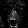 Uce J.'s profile image