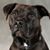 Dale Lenig's profile image