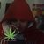 Yako Romero's profile image