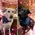 Barbara Luzader-Black's profile image
