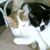 Cindy L Ogoley's profile image