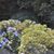 Judy Nelson's profile image
