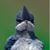 Chris Turner's profile image