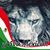 Arlete Franco's profile image