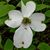 Tina Young Reed's profile image