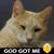 Linda Green's profile image
