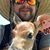 Stephen Beck's profile image