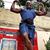 Wil Adjanohoun's profile image