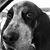 Levi Herhusky's profile image