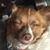 Tom Borchers's profile image
