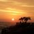 Betty Stotts Beebe's profile image