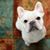 Jody Trappe's profile image