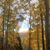 Melody Martinez Carrico's profile image