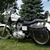 Cathy Oates Dix's profile image