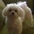 Linda Guabelly's profile image