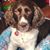 Madeline Garcia's profile image