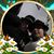 Terri Allen's profile image