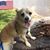 Nancie Walton Dunlap's profile image