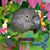 Teri A Carlson's profile image