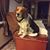 Scott Robison's profile image