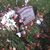 Delia Meagher's profile image