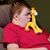 Dawn Wiegand Ferreri's profile image