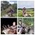Brenda Oliver Manke's profile image