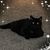 Rhonda Sharp's profile image