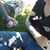 Mallory Halverson's profile image