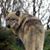 Silvestre M Ortiz's profile image