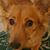 James Funderburgh's profile image
