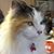 Jackson Hole Feed Jackson's profile image