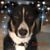 Terri Cordell's profile image