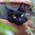 Christine Gilbert's profile image