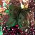Suzy Arntz Campbell's profile image
