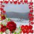 Patricia Oney Partin's profile image