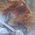 Virginia Schreitmueller's profile image