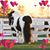 Lee Ann Kagy's profile image