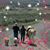 Tammy Damskov's profile image