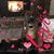 Gabrielle Cooper Lima's profile image