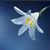 Michael J Carlin's profile image