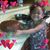 Brandi White's profile image