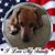 Donna Fritz's profile image