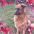 Robin Bartling's profile image