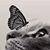 Connie Eddy's profile image