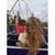 Carolēē Faith Coffey's profile image