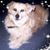 Susan Armstrong's profile image